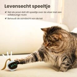 Otiume Interactieve Speelbal - Slimme Interactieve Jaag Speeltje Voor Katten - Kattenspeeltjes - Intelligente Jaagbal - AI -USB Oplaadbaar - LED - Blauw 12 Otiume Interactieve Speelbal - Slimme Interactieve Jaag Speeltje Voor Katten - Kattenspeeltjes - Intelligente Jaagbal - AI -USB Oplaadbaar - LED - Blauw -Merkloos Winkel 1200x1200 951