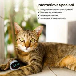Otiume Interactieve Speelbal - Slimme Interactieve Jaag Speeltje Voor Katten - Kattenspeeltjes - Intelligente Jaagbal - AI -USB Oplaadbaar - LED - Blauw 13 Otiume Interactieve Speelbal - Slimme Interactieve Jaag Speeltje Voor Katten - Kattenspeeltjes - Intelligente Jaagbal - AI -USB Oplaadbaar - LED - Blauw -Merkloos Winkel 1200x1200 952