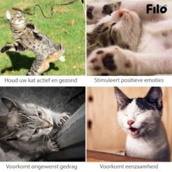 Filo Kattenspeelgoed Set 30 Stuks - Kattenspeeltje Kattentunnel - Kattenhengel - Kattenveertjes - Vis Met Kattenkruid - Kattenspeeltjes Intelligentie Kitten - Interactief Speelgoed Katten - Poezen Speeltjes -Merkloos Winkel 1200x1200 966