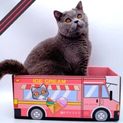 Make Me Purr Kattendoos Van Karton (Ice Cream) - Inclusief Kartonnen Krabmat - Speelgoed Doos Voor Katten Met Krab Mat - Kat Krabpaal Speeltje - Kattenbed Kattenmand Kattenhuis Kattentunnel - Kattenspeelgoed - Kattenspeeltjes - Kitten Speeltjes -Merkloos Winkel 1200x1200 973