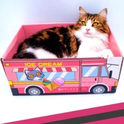 Make Me Purr Kattendoos Van Karton (Ice Cream) - Inclusief Kartonnen Krabmat - Speelgoed Doos Voor Katten Met Krab Mat - Kat Krabpaal Speeltje - Kattenbed Kattenmand Kattenhuis Kattentunnel - Kattenspeelgoed - Kattenspeeltjes - Kitten Speeltjes -Merkloos Winkel 1200x1200 974