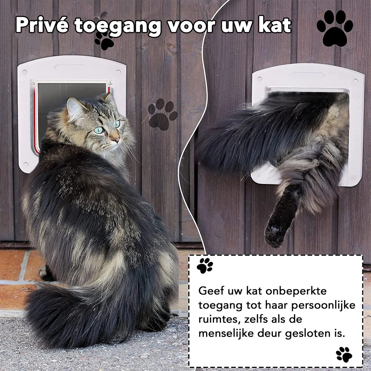 DOWO® - Kattenklep - Kattenluik - Kattenluikje - 4-weg Huisdierklep, Eenvoudige Installatie Kattendeur Huisdierendeur Aan De Muur, Houten Deur, Upvc Binnendeur, Baksteenwanden, Houten Deuren (M - Buitenmaat 20x22 Cm) 5 DOWO® - Kattenklep - Kattenluik - Kattenluikje - 4-weg Huisdierklep, Eenvoudige Installatie Kattendeur Huisdierendeur Aan De Muur, Houten Deur, Upvc Binnendeur, Baksteenwanden, Houten Deuren (M - Buitenmaat 20x22 Cm) - Afbeelding 5