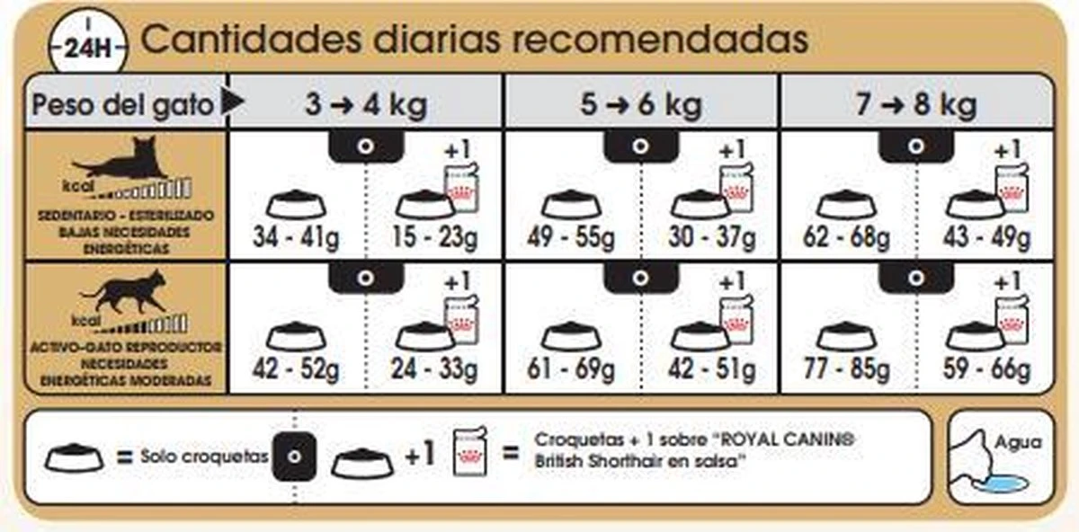 Royal Canin British Shorthair Adult - Kattenvoer - 2 Kg 6 Royal Canin British Shorthair Adult - Kattenvoer - 2 Kg - Afbeelding 6