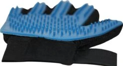 Merkloos Verzorgingsborstel - Zwart/Blauw - 1 Maat - Rechtshandig -Merkloos Winkel 1200x652 5