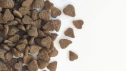 Carocroc Adult - Lam - Kattenvoer - 15 Kg -Merkloos Winkel 1200x675 1