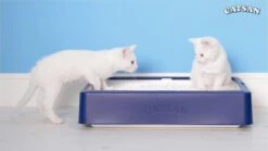 Catsan Hygiene Plus - Kattenbakvulling Geurabsorberend - 20 L -Merkloos Winkel 1200x675 6