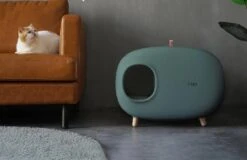 MakeSure Kattenbak Met Lade - Groen - 60 X 38 X 45 Cm - Design -Merkloos Winkel 1200x778 2