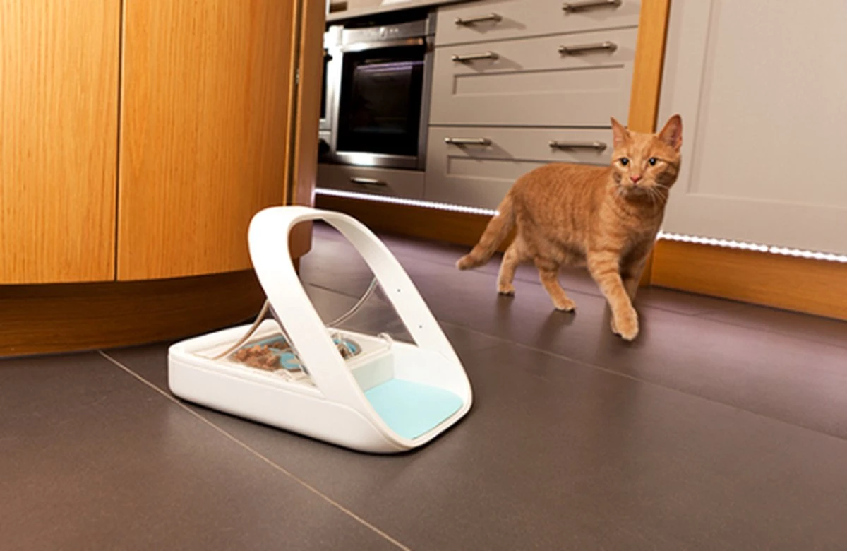 Surefeed Microchip Pet Feeder - Voerbak - 30 X 23 X 22 Cm 6 Surefeed Microchip Pet Feeder - Voerbak - 30 X 23 X 22 Cm - Afbeelding 6