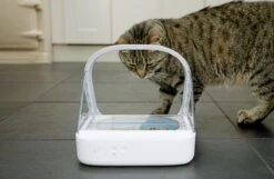 Surefeed Microchip Pet Feeder - Voerbak - 30 X 23 X 22 Cm 25 Surefeed Microchip Pet Feeder - Voerbak - 30 X 23 X 22 Cm -Merkloos Winkel 1200x780 2