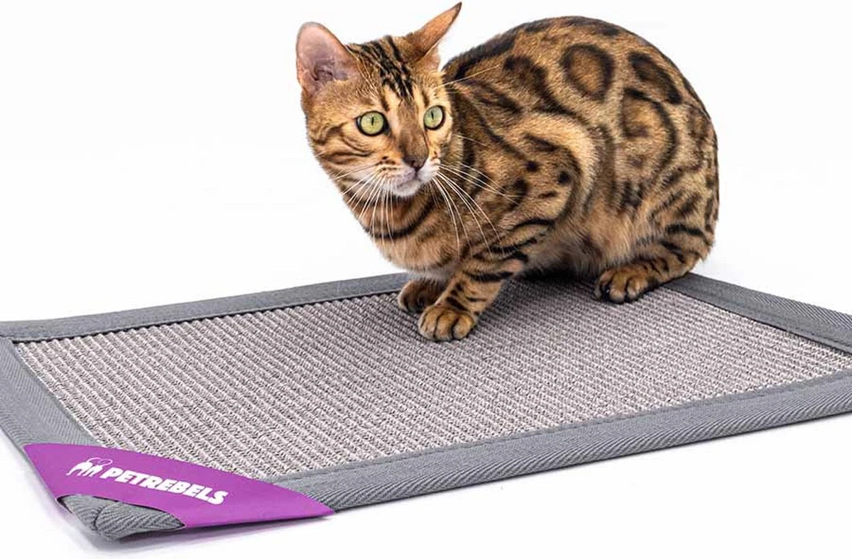 Petrebels Mastermat 60 Katten Krabmat - Grijs - 60 X 40 Cm - Zeer Sterk 10 Petrebels Mastermat 60 Katten Krabmat - Grijs - 60 X 40 Cm - Zeer Sterk - Afbeelding 10