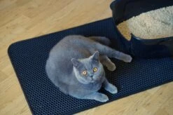 Merkloos Tastelio XXL Kattenbakmat 75x55cm - Groot Kattenbak Mat Met Innovatieve Honingraatstructuur - Dubbele Waterdichte Laag - Katten Bak Mat Met Eenvoudige Reiniging Grit Opvanger -Merkloos Winkel 1200x799 15