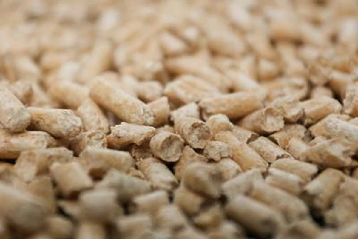 Peewee Houtkorrels - Kattenbakvulling - 3 Kg 2 Peewee Houtkorrels - Kattenbakvulling - 3 Kg - Afbeelding 2