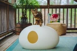 SinDesign Poopoopeedo Kattenbak - Zwart -Merkloos Winkel 1200x800 17