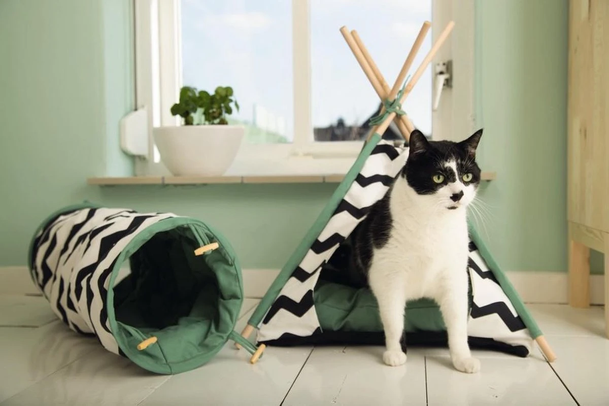 Beeztees Kioni Tipi Tent - Kattenhuis - Zwart/Wit - 50x50x70 Cm 5 Beeztees Kioni Tipi Tent - Kattenhuis - Zwart/Wit - 50x50x70 Cm - Afbeelding 5