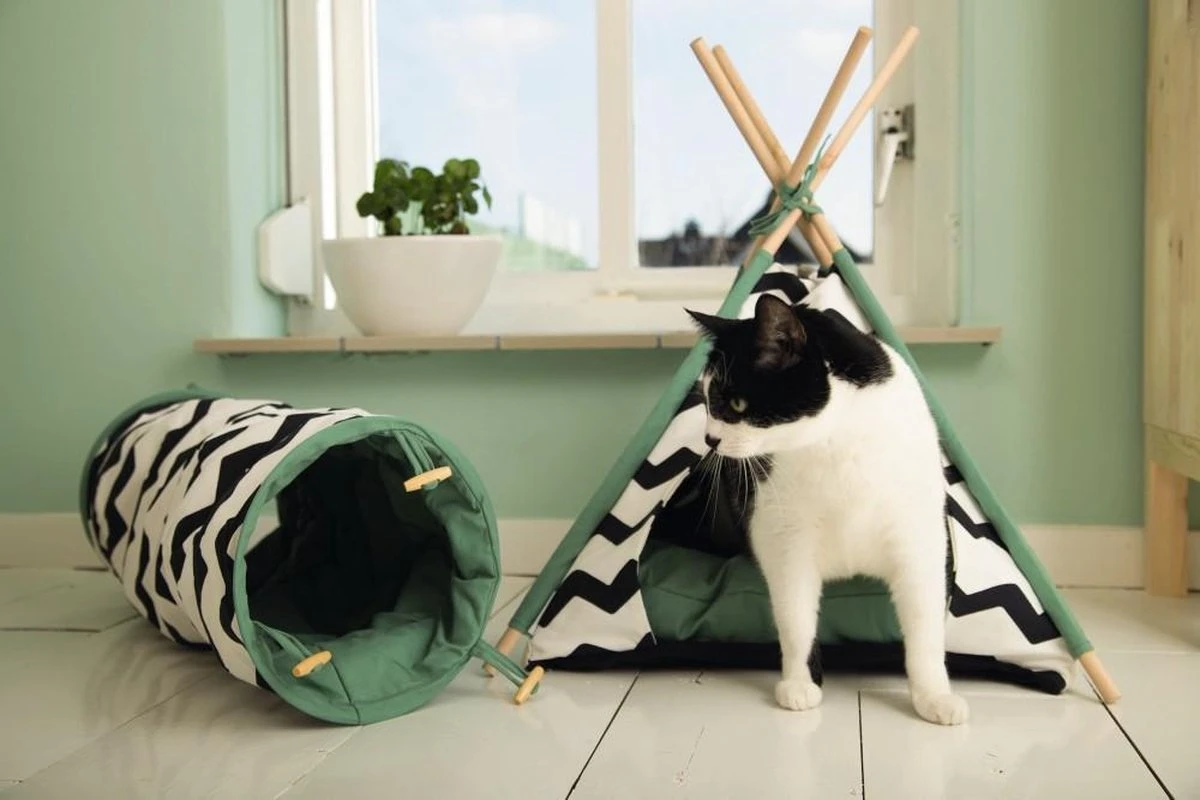Beeztees Kioni Tipi Tent - Kattenhuis - Zwart/Wit - 50x50x70 Cm 8 Beeztees Kioni Tipi Tent - Kattenhuis - Zwart/Wit - 50x50x70 Cm - Afbeelding 8