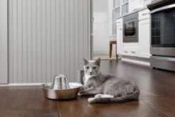 PetSafe® Seaside Stainless Steel Pet Fountain - RVS Drinkfontein Voor Katten En Kleine Honden - Water Borrelt Zacht Over De Toren - Door Het Design Van Alle Kanten Bereikbaar - 1,8 Liter - PetSafe Seaside -Merkloos Winkel 1200x800 5