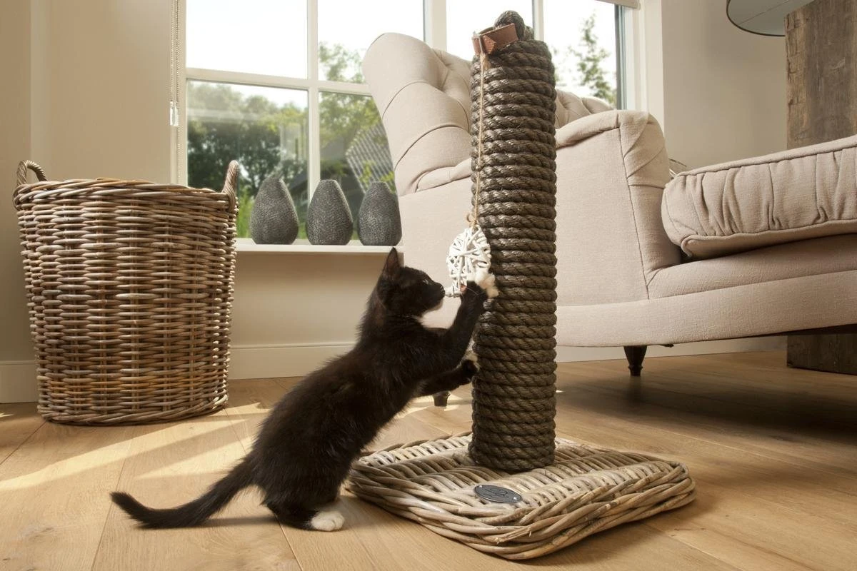 Designed By Lotte - Krabpaal - Kubu - 40x40x80 Cm 6 Designed By Lotte - Krabpaal - Kubu - 40x40x80 Cm - Afbeelding 6