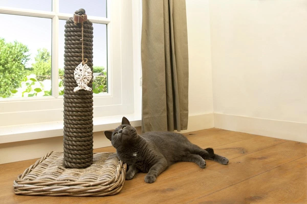 Designed By Lotte - Krabpaal - Kubu - 40x40x80 Cm 7 Designed By Lotte - Krabpaal - Kubu - 40x40x80 Cm - Afbeelding 7