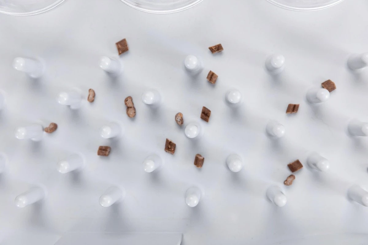 Trixie Cat Activity Fun Bord - 40X30 CM 16 Trixie Cat Activity Fun Bord - 40X30 CM - Afbeelding 16