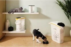 Curver Voedselcontainer Kat - 10 L -Merkloos Winkel 1200x805 1