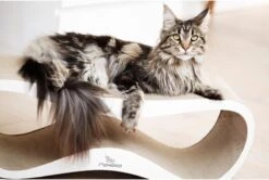 MyKotty LUI - Krabpaal - Wit - 75 X 25 Cm -Merkloos Winkel 1200x806 4