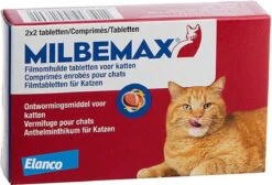 Milbemax Kat Groot - 1 ST à 2 X 2 TABL -Merkloos Winkel 1200x817 3