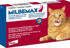 Milbemax Kat Groot - 1 ST à 2 X 2 TABL -Merkloos Winkel 1200x821 1