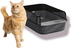 Merkloos Kattenbak - Zwart - Open - Incl. Schep - Modern - Hip - Trendy - Design Kattenbak 11 Merkloos Kattenbak - Zwart - Open - Incl. Schep - Modern - Hip - Trendy - Design Kattenbak -Merkloos Winkel 1200x823 1