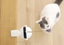 Merkloos Kattenhengel - Elektrisch Kattenspeelgoed - Kattenspeeltjes - Automatische Hengel - Kitten Speelgoed - Interactief Kattenspeelgoed - Bal - Katten - Poesjes - Kitten - Kat - Kattenbal - Kattenspeeltjes Intelligentie -Merkloos Winkel 1200x845 2