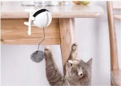 Merkloos Kattenhengel - Elektrisch Kattenspeelgoed - Kattenspeeltjes - Automatische Hengel - Kitten Speelgoed - Interactief Kattenspeelgoed - Bal - Katten - Poesjes - Kitten - Kat - Kattenbal - Kattenspeeltjes Intelligentie -Merkloos Winkel 1200x852 2