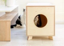 Catandwood Kattenhuis - Kattenbakcontainer - Kattenbak Ombouw - Hout -Merkloos Winkel 1200x857 5