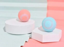 Merkloos EYSS Slimme Bal / Huisdier Speelgoedbal / Kattenspeeltje / Zelfrollende Kattenbal / Smart Rollende Bal / Oplaadbare Speeltje Voor Poesjes /Katten -Merkloos Winkel 1200x868 6