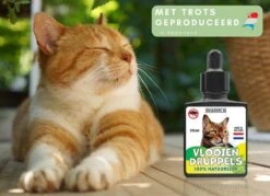 Natuurlijke Vlooiendruppels Voor Katten - Vanaf 4 Kg - 100% Natuurlijk - Vlooien - Zonder Giftige Pesticiden - 30 Ml - Speciale Formule Voor Katten - Vachtdruppels - Made In Holland -Merkloos Winkel 1200x872 2