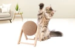 Janse Katten Krab Bal - Katten Speelgoed - Krabmeubel - Kattenkrabpaal - Krabplank - Krabbal - Kattenspeeltje - Krabbol - Inclusief Kattenkruid 7 Janse Katten Krab Bal - Katten Speelgoed - Krabmeubel - Kattenkrabpaal - Krabplank - Krabbal - Kattenspeeltje - Krabbol - Inclusief Kattenkruid -Merkloos Winkel 1200x898 6