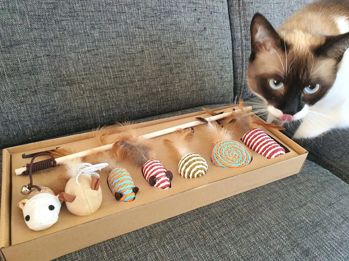 Make Life Beautiful® - Kattenspeeltjes Set - 7-delig - Kattenspeelgoed - Kattenhengel - Speelmuisjes - Kattenspeelgoed Set 5 Make Life Beautiful® - Kattenspeeltjes Set - 7-delig - Kattenspeelgoed - Kattenhengel - Speelmuisjes - Kattenspeelgoed Set - Afbeelding 5