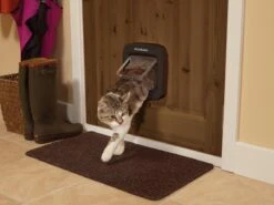PetSafe Staywell Microchip Kattenluik - Bruin -Merkloos Winkel 1200x900 15