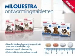 Beaphar Milquestra Kleine Kat/kitten - 0,5 Tot 4 Kg - 2 Tabletten 13 Beaphar Milquestra Kleine Kat/kitten - 0,5 Tot 4 Kg - 2 Tabletten -Merkloos Winkel 1200x904 1