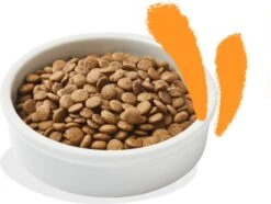 Edgard & Cooper Kattenvoer Adult Kip 4 Kg -Merkloos Winkel 1200x905 1