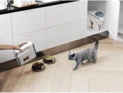 Curver Voercontainer Kat - 6 L -Merkloos Winkel 1200x910 2