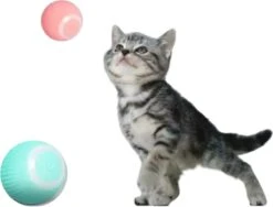 Merkloos EYSS Slimme Bal / Huisdier Speelgoedbal / Kattenspeeltje / Zelfrollende Kattenbal / Smart Rollende Bal / Oplaadbare Speeltje Voor Poesjes /Katten -Merkloos Winkel 1200x915 1