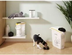 Curver Voedselcontainer Kat - 10 L -Merkloos Winkel 1200x917 5