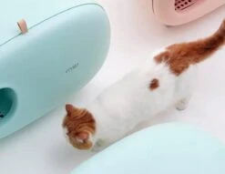 MakeSure Kattenbak Met Lade - Groen - 60 X 38 X 45 Cm - Design -Merkloos Winkel 1200x927 1