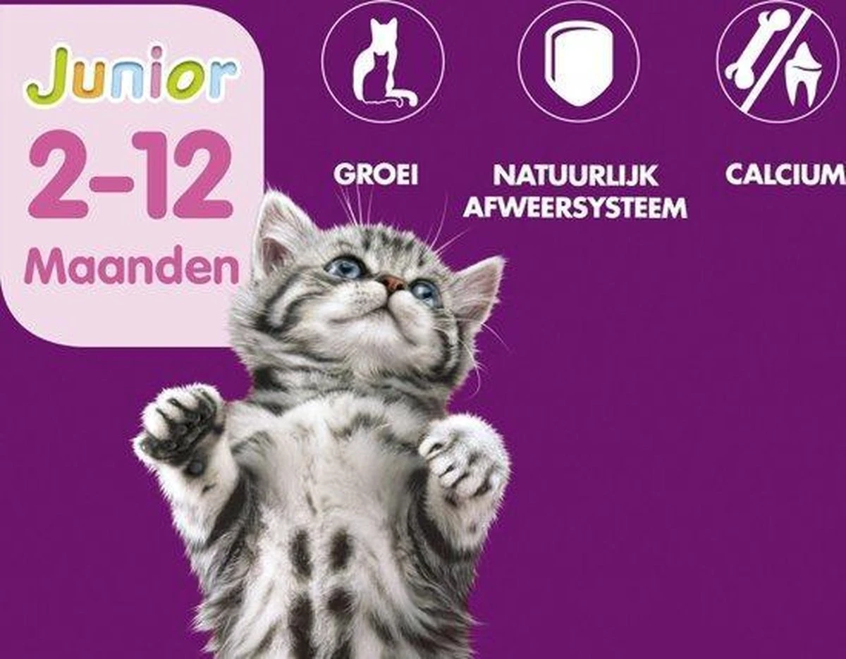 Whiskas Junior Katten Natvoer - Classic Selectie In Saus - 48 X 100g 2 Whiskas Junior Katten Natvoer - Classic Selectie In Saus - 48 X 100g - Afbeelding 2