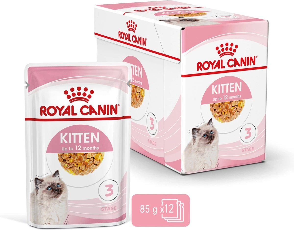 Royal Canin Kitten In Jelly - Kattenvoer - 1020 G 20 Royal Canin Kitten In Jelly - Kattenvoer - 1020 G - Afbeelding 20