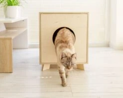 Catandwood Kattenhuis - Kattenbakcontainer - Kattenbak Ombouw - Hout -Merkloos Winkel 1200x959 2