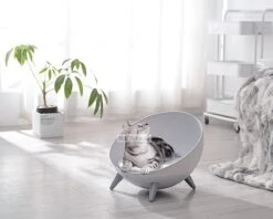 Cats&Co Hemisferische Designer Kattenstoel Kunststof Wit -Merkloos Winkel 1200x961 1