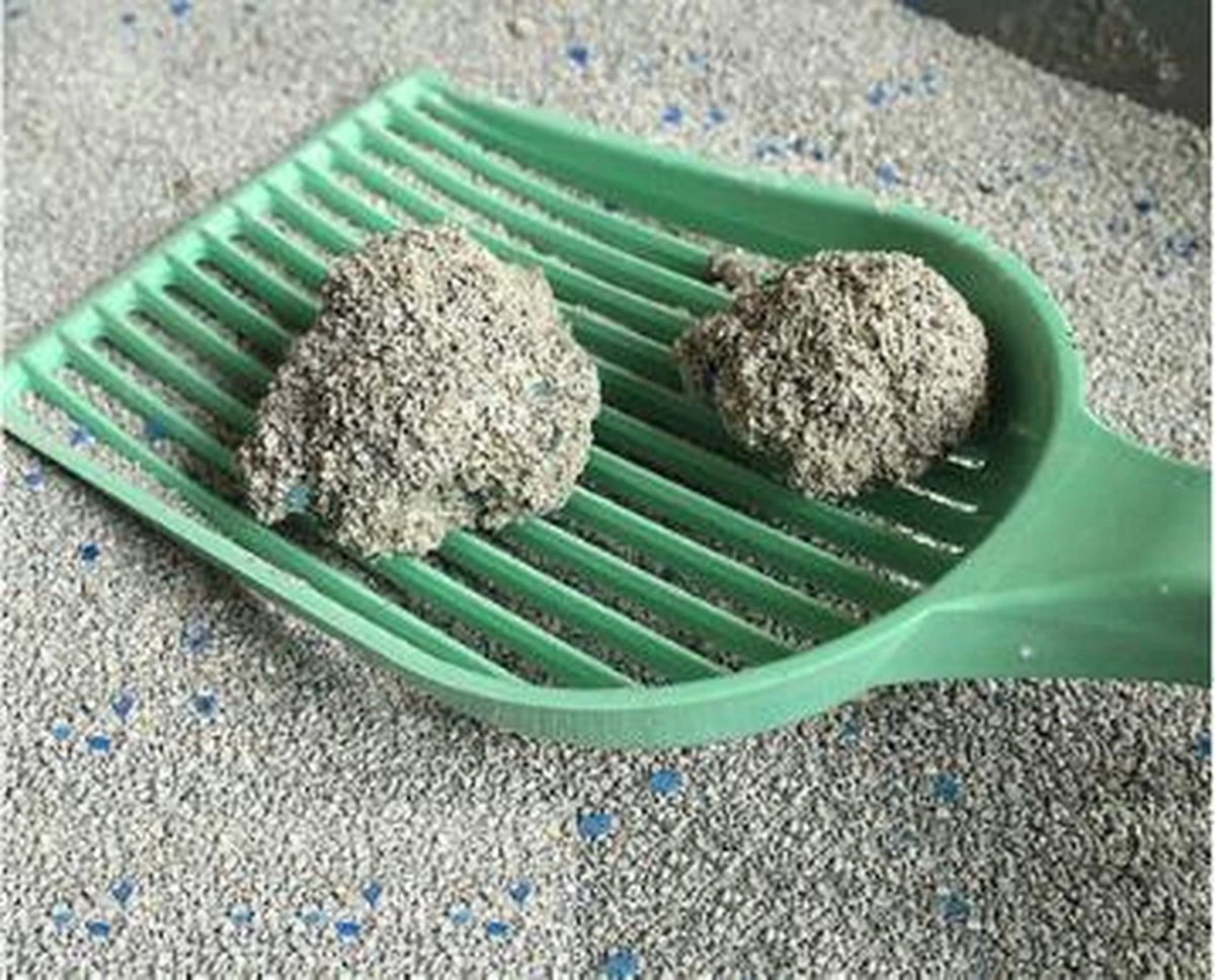 Golden Grey Master Kattenbakvulling Met Silicaat En Babypoeder - 1 Zak 2 Golden Grey Master Kattenbakvulling Met Silicaat En Babypoeder - 1 Zak - Afbeelding 2