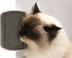 Merkloos Katten Hoekborstel - Self Groomer - Katten Massageborstel - Kat Borstel - Grijs -Merkloos Winkel 1200x974 1