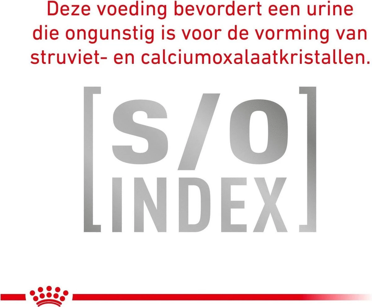 Royal Canin Anallergenic Kattenvoer 4 Kg 6 Royal Canin Anallergenic Kattenvoer 4 Kg - Afbeelding 6