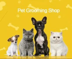 Honden Verzorging Set En Ontharing Kit. Huisdieren Grooming Gereedschap -Merkloos Winkel 1200x992